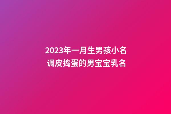 2023年一月生男孩小名 调皮捣蛋的男宝宝乳名